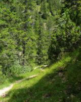 2014-07-18_Kompar (375)b.JPG